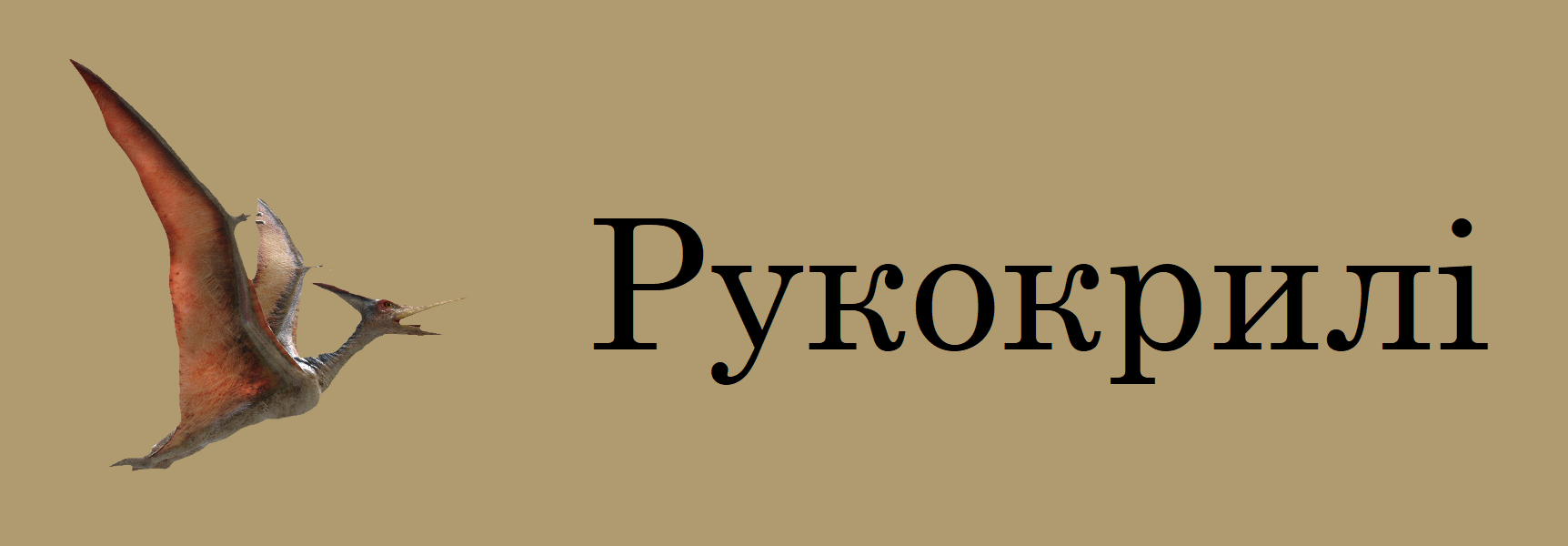 Рукокрилі