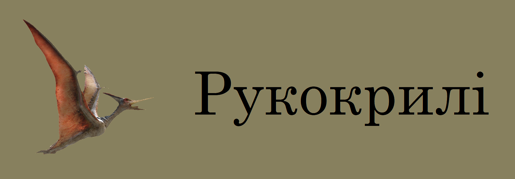 Рукокрилі